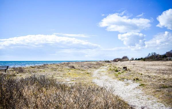 Cosy Cottage By The South Coast Trelleborg Εξωτερικό φωτογραφία